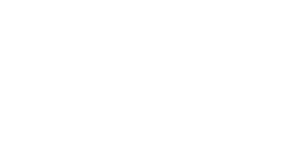 capital (1)
